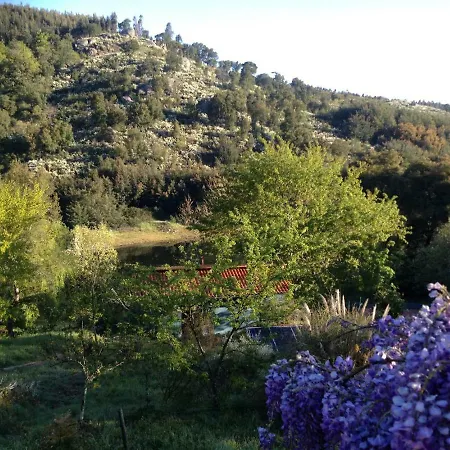 Quinta Da Lontra Villa Tábua Buitenkant foto