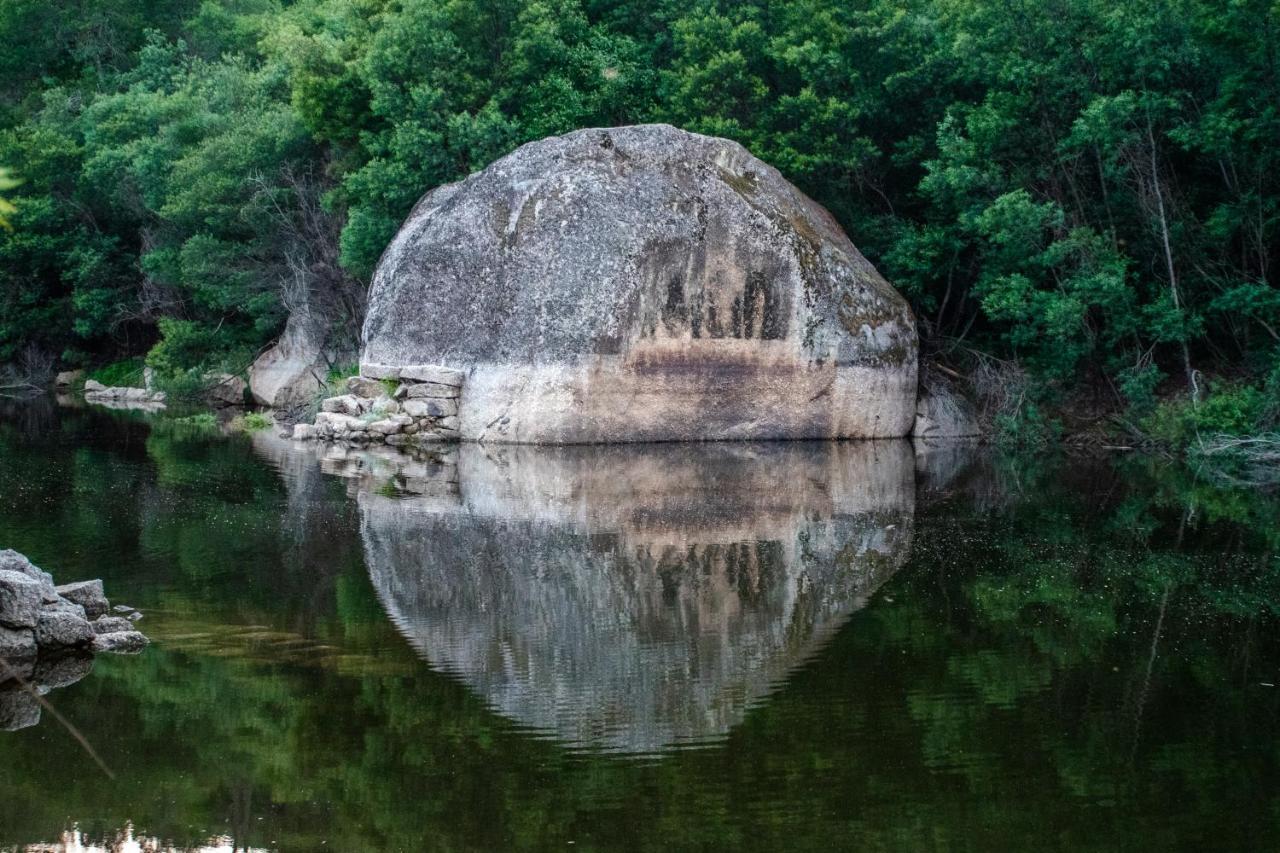 Quinta Da Lontra * Tabua (Coimbra)