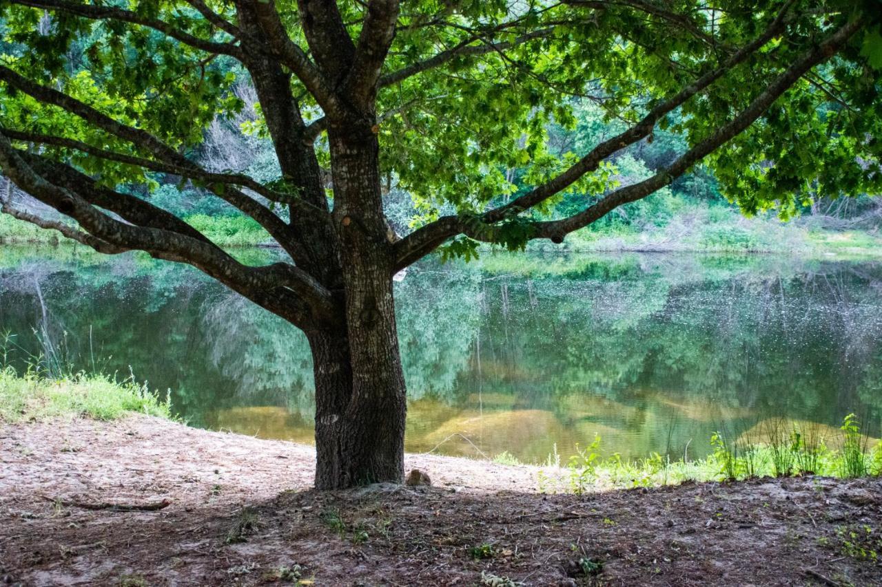 Quinta Da Lontra * Tabua (Coimbra)