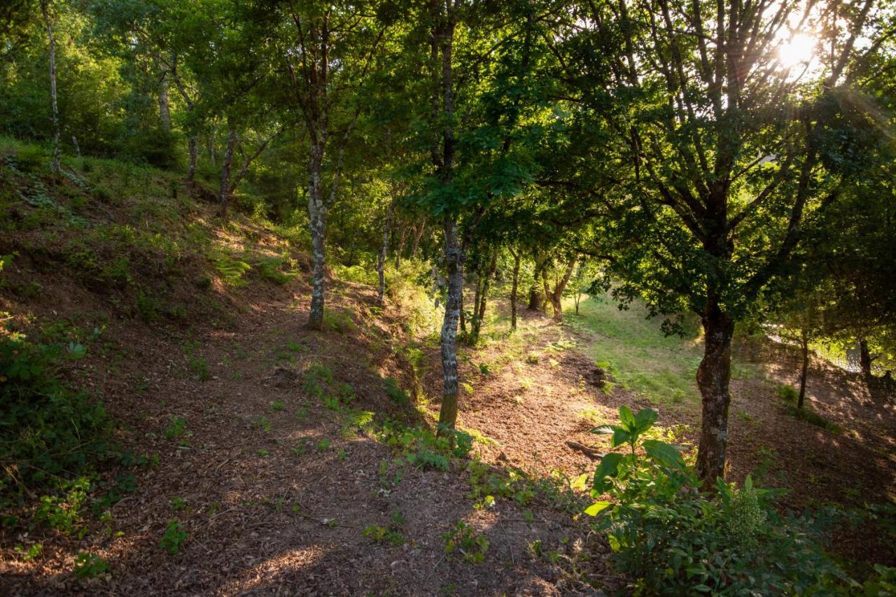 Holiday home Quinta Da Lontra