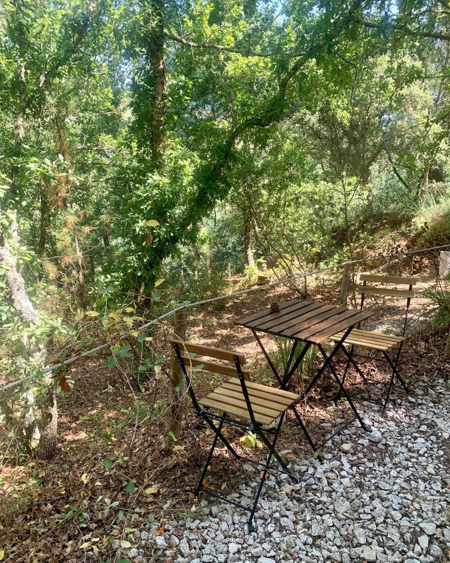Quinta Da Lontra * Tabua (Coimbra)