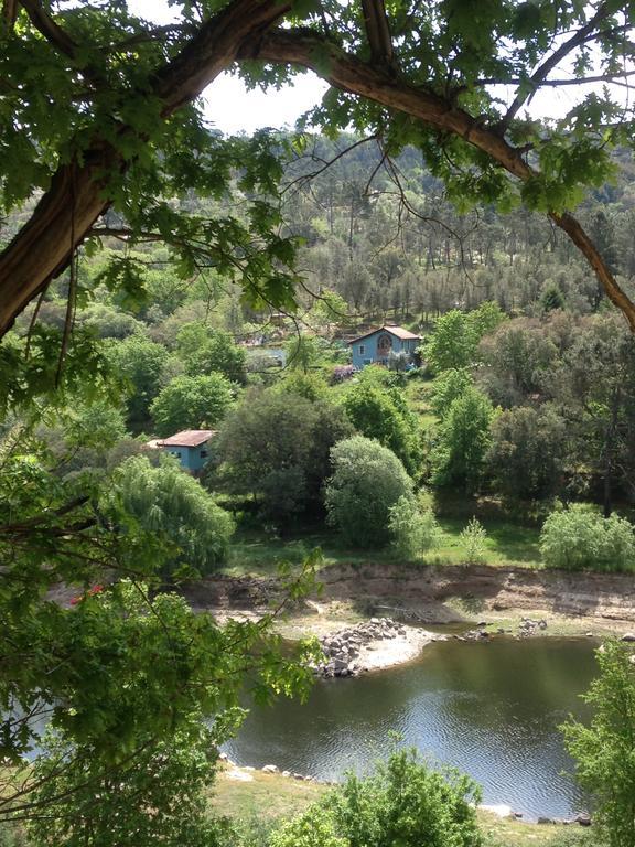 Quinta Da Lontra Holiday home Tabua (Coimbra)